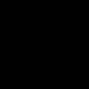 Meet your Posher, Fred